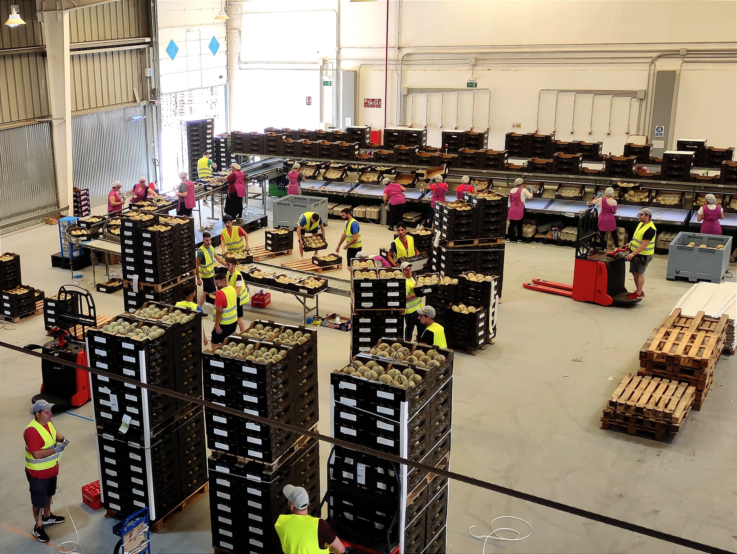 Interior de las instalaciones